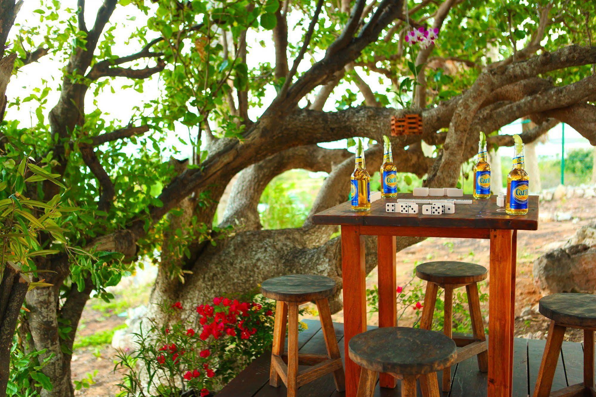 Anguilla'S Bird Of Paradise The Valley 外观 照片